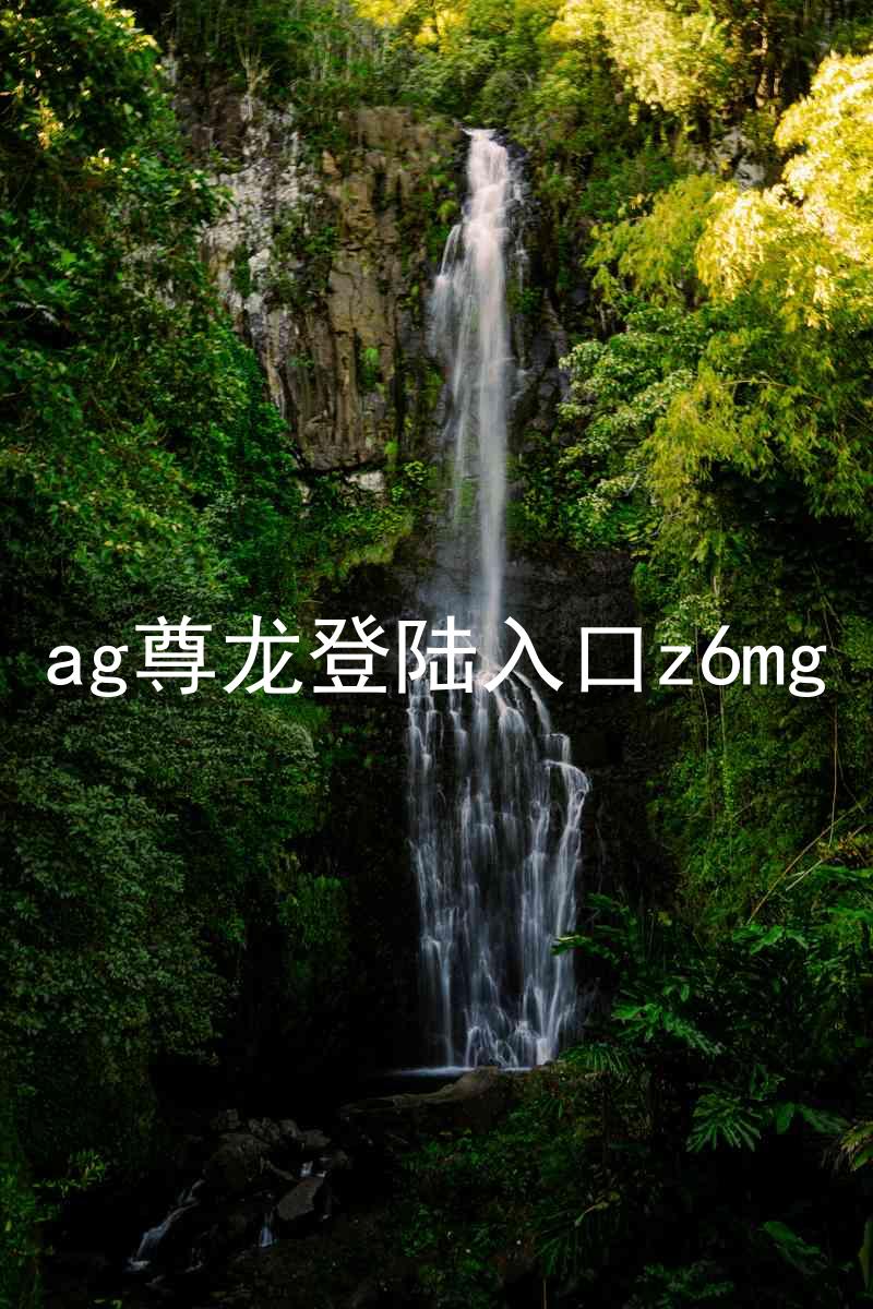 ag尊龙登陆入口z6mg