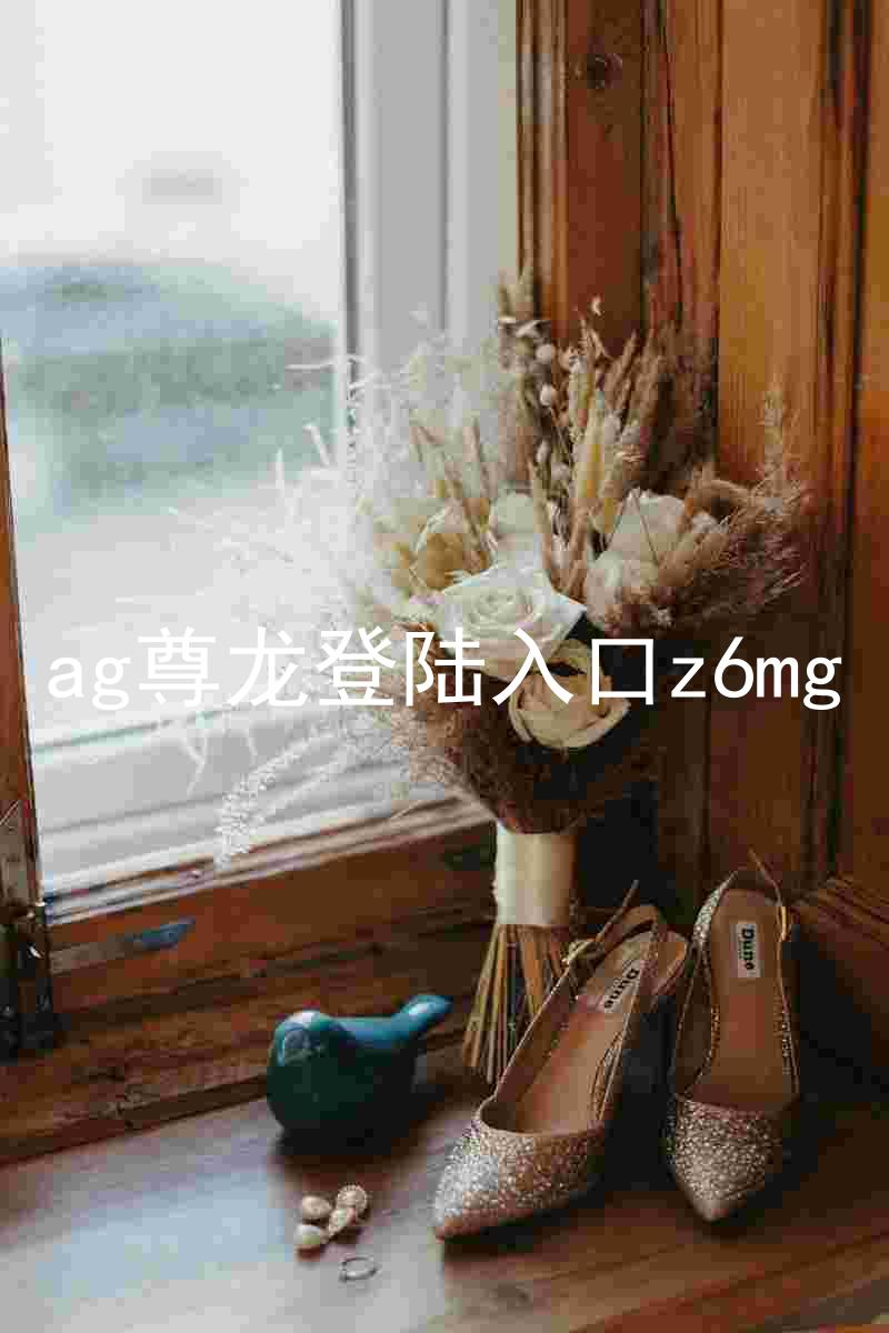 ag尊龙登陆入口z6mg